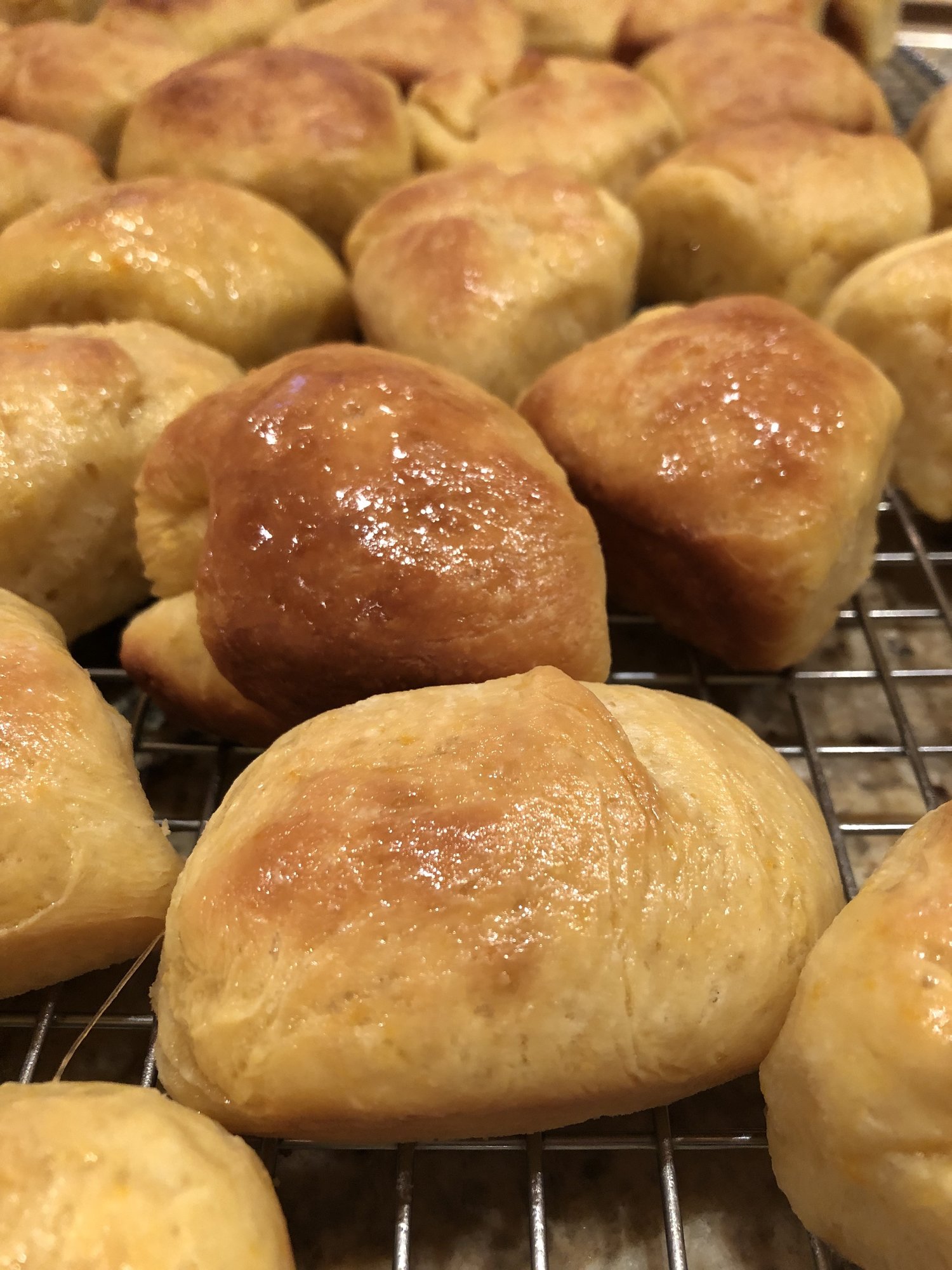 Squash Pan Rolls Recipe