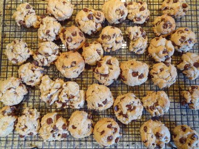 Lesley's Low Fat Chocolate Chip Cookies.